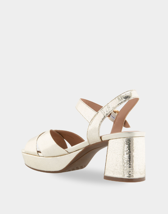 Cosmos Gold Leather *